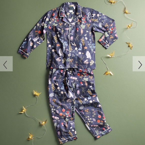 Pottery Barn Harry Potter Pajamas